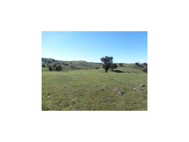 000 Grassy Creek Road, Boorowa NSW 2586