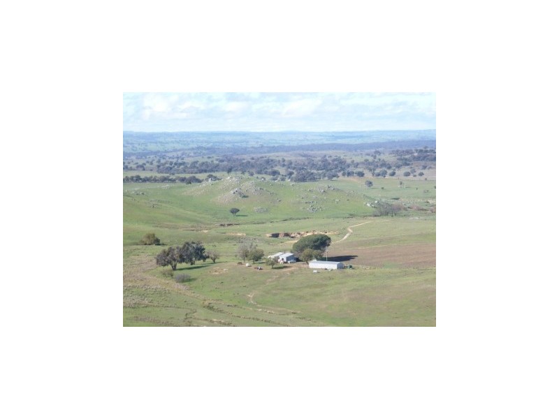 000 Grassy Creek Road, Boorowa NSW 2586