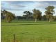 North Broadway Kanimbla Lane, Holbrook NSW 2644