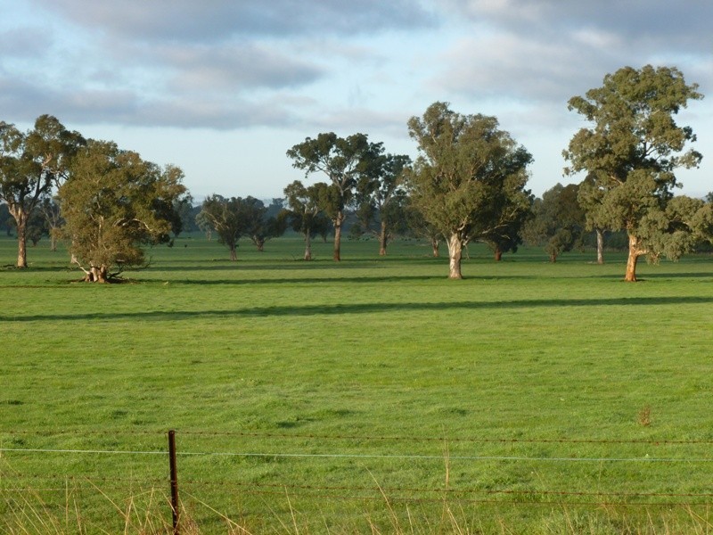 North Broadway Kanimbla Lane, Holbrook NSW 2644