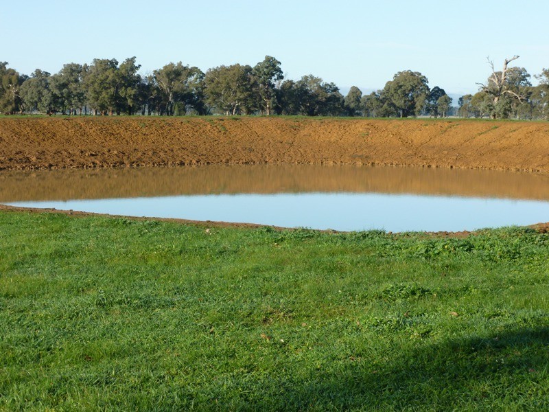 North Broadway Kanimbla Lane, Holbrook NSW 2644