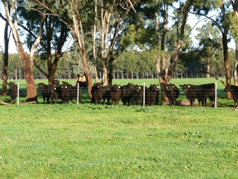 North Broadway Kanimbla Lane, Holbrook NSW 2644