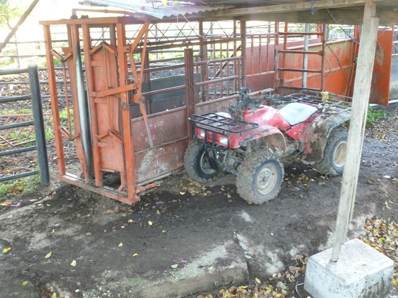 North Broadway Kanimbla Lane, Holbrook NSW 2644