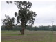 ‘Booralee’ Back Walbundrie-Rand Road, Walbundrie NSW 2642