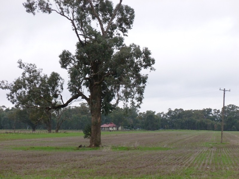 ‘Booralee’ Back Walbundrie-Rand Road, Walbundrie NSW 2642