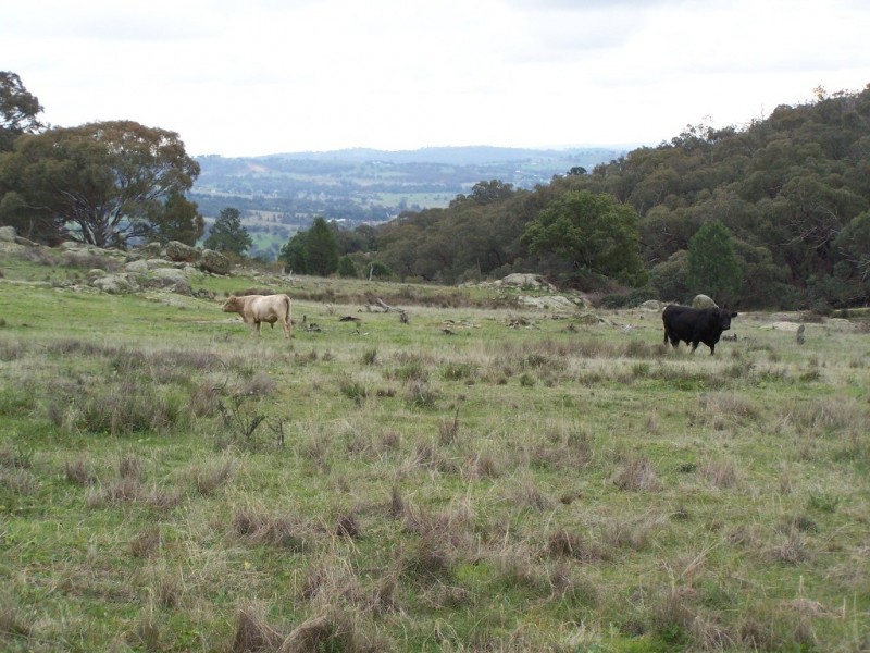 123 Gelston Heights Road, Gelston Park, Wagga Wagga NSW 2650