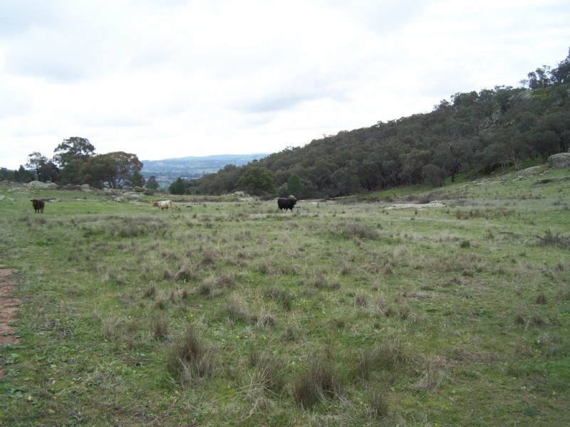 123 Gelston Heights Road, Gelston Park, Wagga Wagga NSW 2650