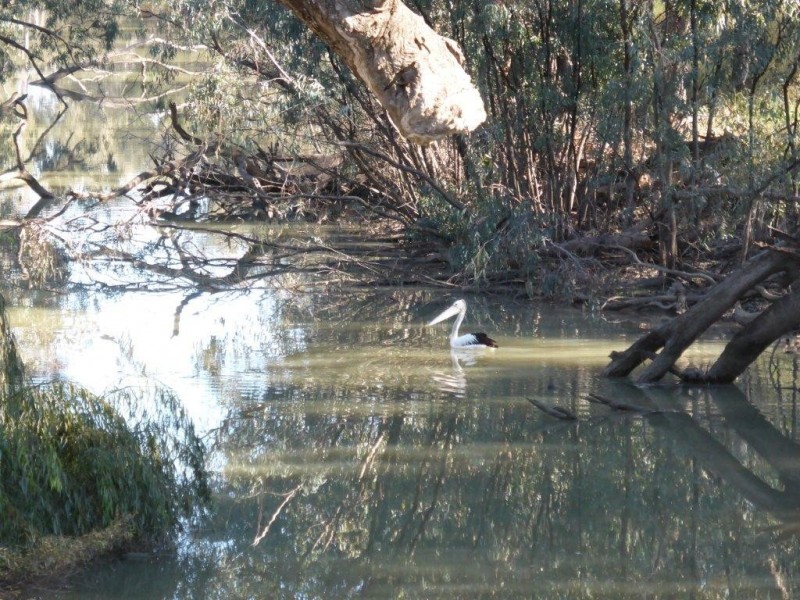 Hillston NSW 2675