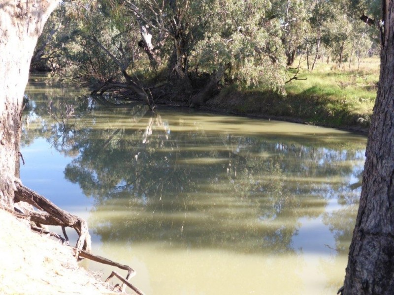 Hillston NSW 2675