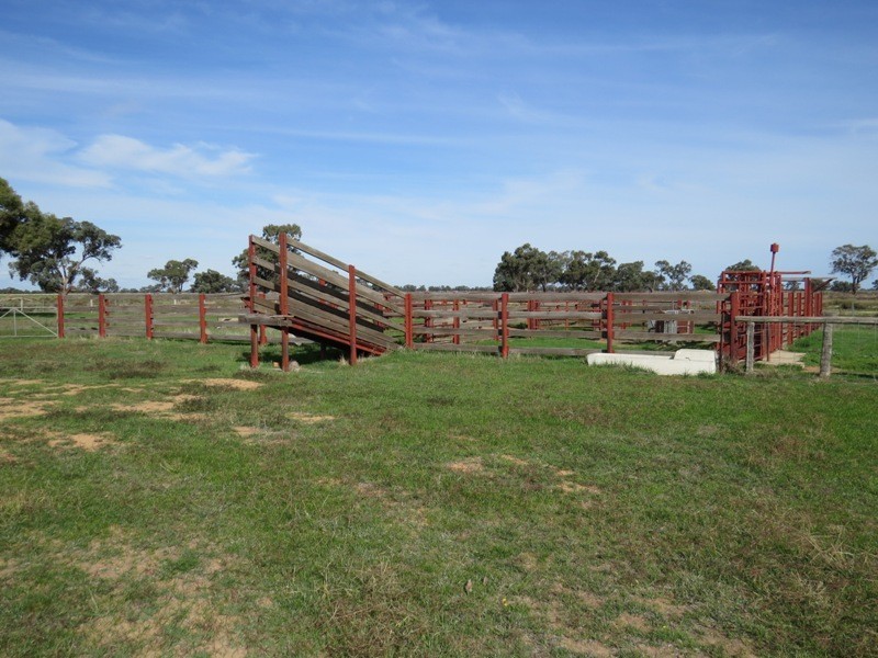 RMB 185 Hetherington Road, Deniliquin NSW 2710
