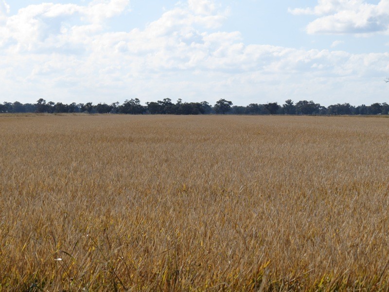 RMB 185 Hetherington Road, Deniliquin NSW 2710