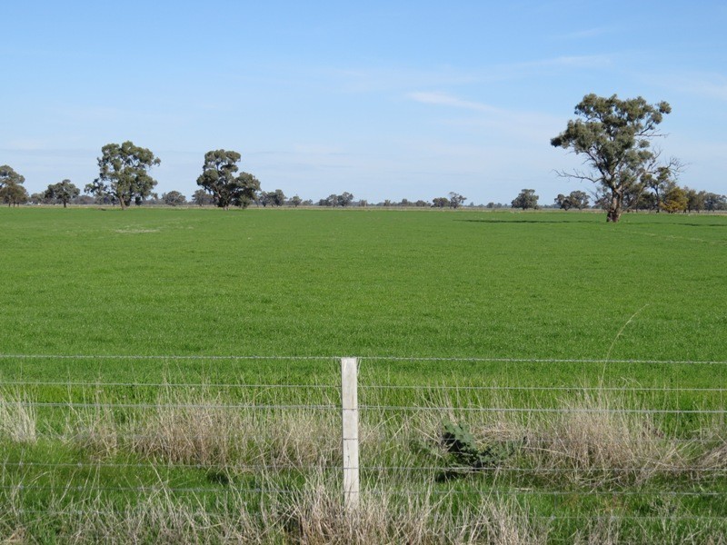 RMB 185 Hetherington Road, Deniliquin NSW 2710