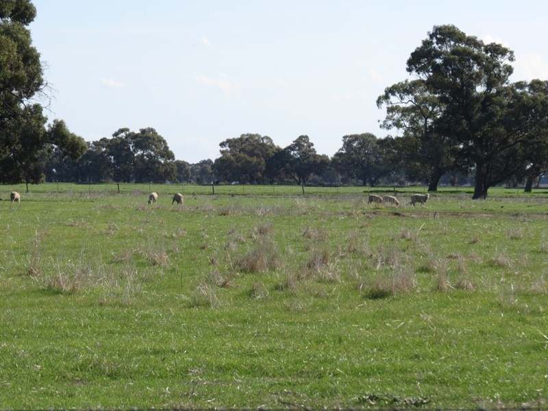 RMB 185 Hetherington Road, Deniliquin NSW 2710