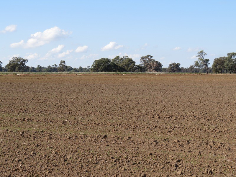 RMB 185 Hetherington Road, Deniliquin NSW 2710