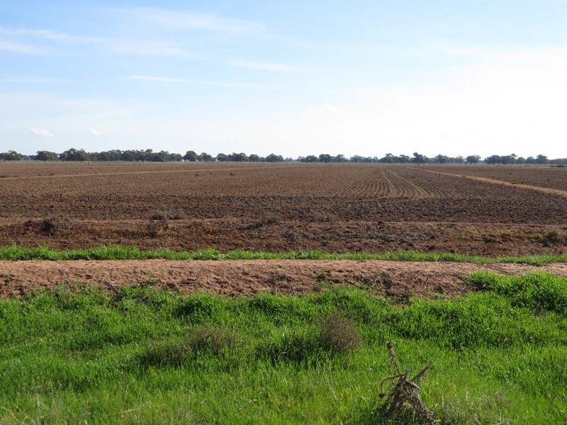 RMB 185 Hetherington Road, Deniliquin NSW 2710