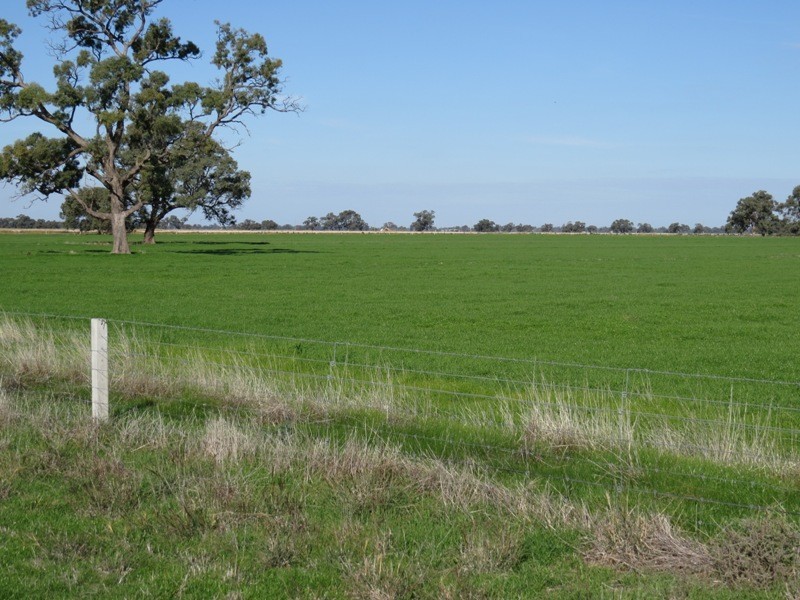 RMB 185 Hetherington Road, Deniliquin NSW 2710