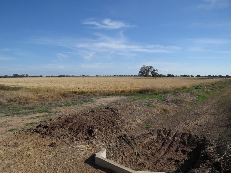 RMB 185 Hetherington Road, Deniliquin NSW 2710