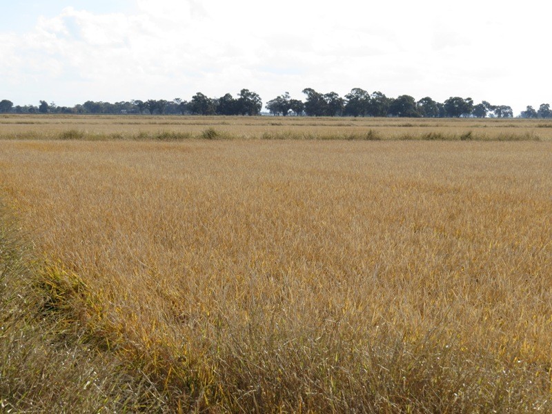 RMB 185 Hetherington Road, Deniliquin NSW 2710