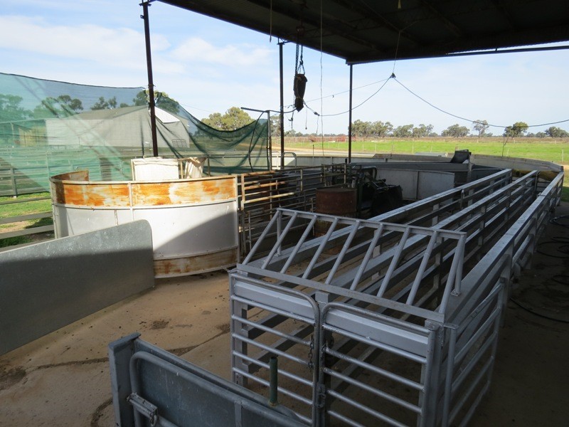 RMB 185 Hetherington Road, Deniliquin NSW 2710