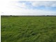 “Nocoleigh” Lower River Road, Deniliquin NSW 2710