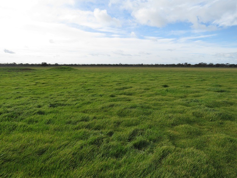 “Nocoleigh” Lower River Road, Deniliquin NSW 2710