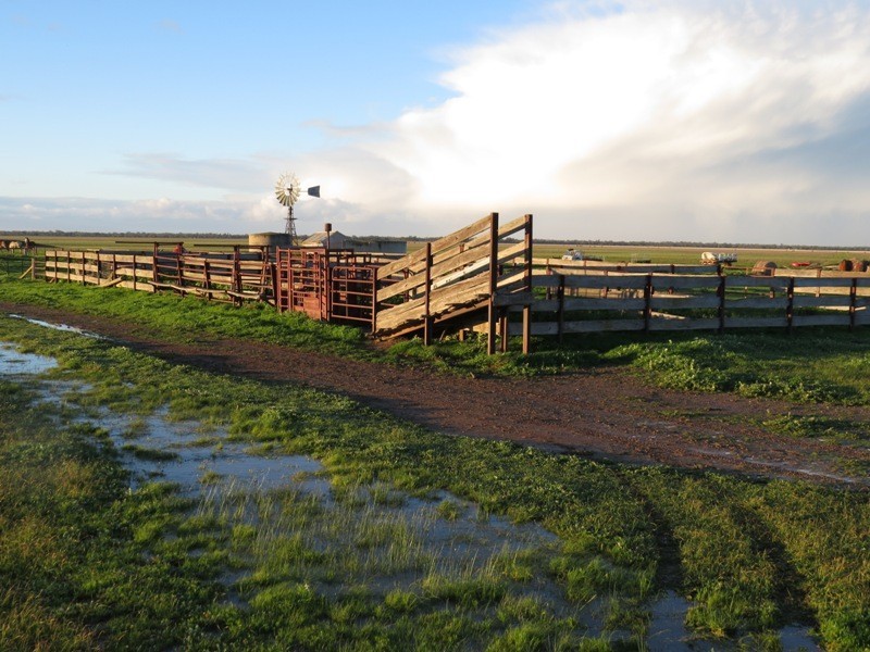 “Nocoleigh” Lower River Road, Deniliquin NSW 2710