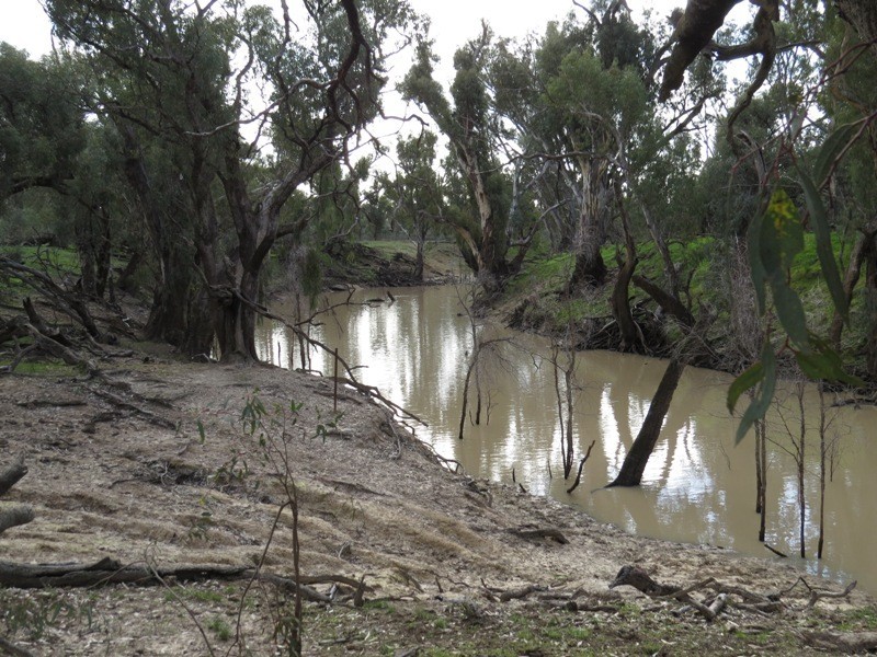 “Nocoleigh” Lower River Road, Deniliquin NSW 2710