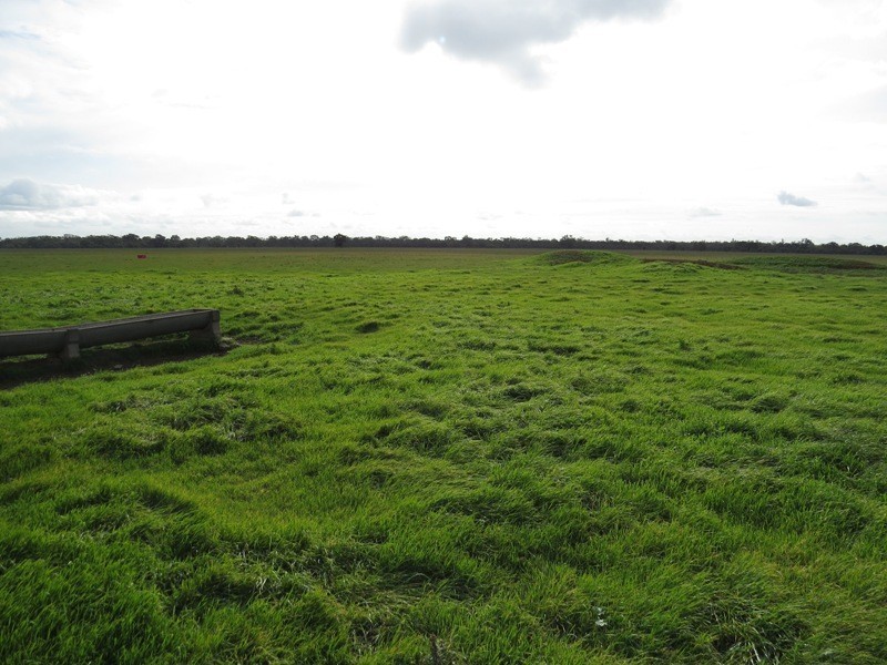 “Nocoleigh” Lower River Road, Deniliquin NSW 2710