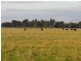 “Nocoleigh” Lower River Road, Deniliquin NSW 2710