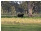 “Nocoleigh” Lower River Road, Deniliquin NSW 2710