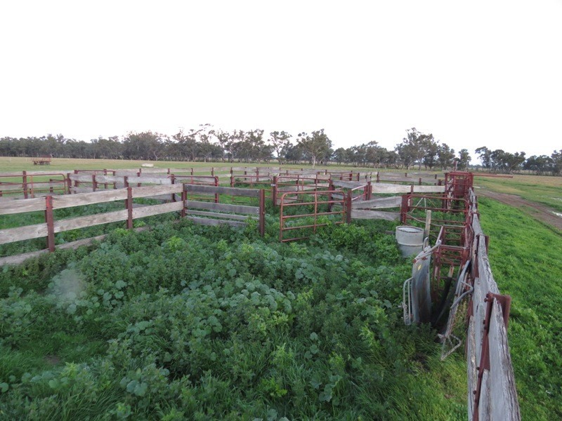 “Nocoleigh” Lower River Road, Deniliquin NSW 2710