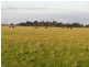 “Nocoleigh” Lower River Road, Deniliquin NSW 2710