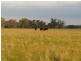 “Nocoleigh” Lower River Road, Deniliquin NSW 2710