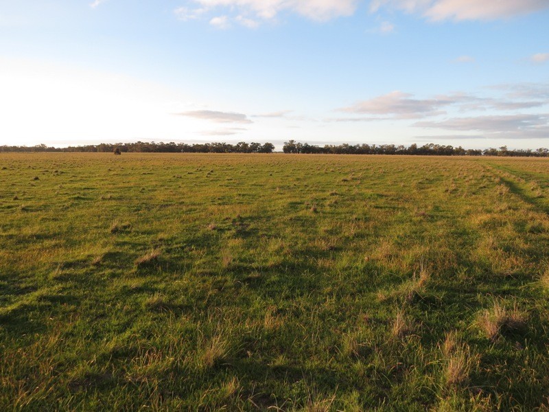 “Nocoleigh” Lower River Road, Deniliquin NSW 2710