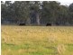 “Nocoleigh” Lower River Road, Deniliquin NSW 2710