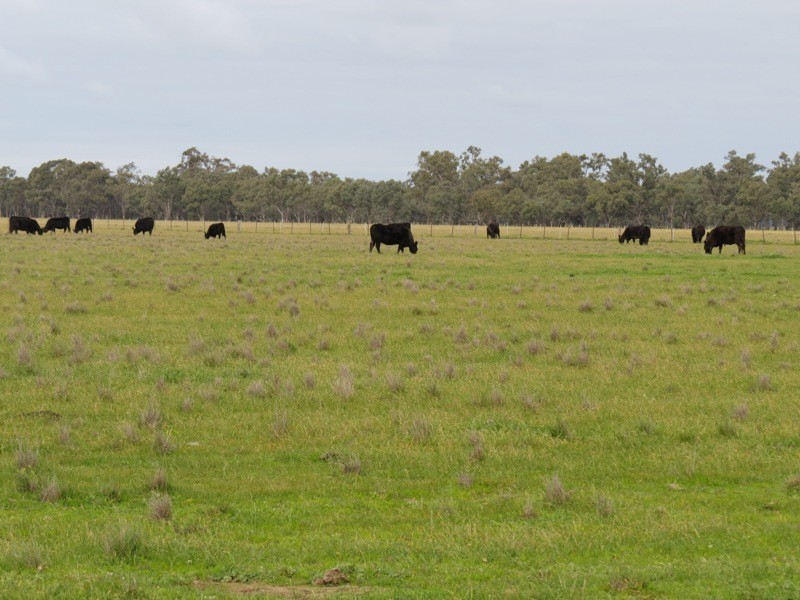 “Nocoleigh” Lower River Road, Deniliquin NSW 2710