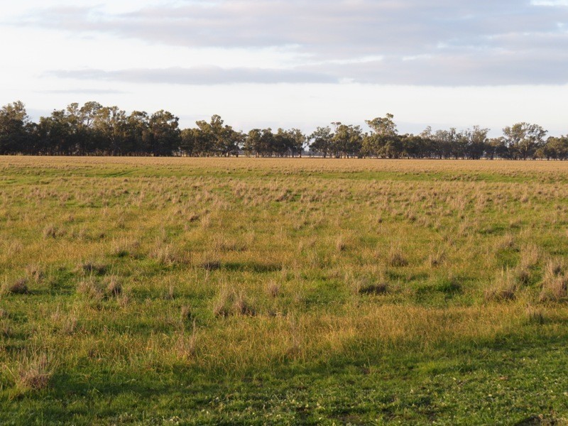 “Nocoleigh” Lower River Road, Deniliquin NSW 2710