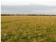 “Nocoleigh” Lower River Road, Deniliquin NSW 2710