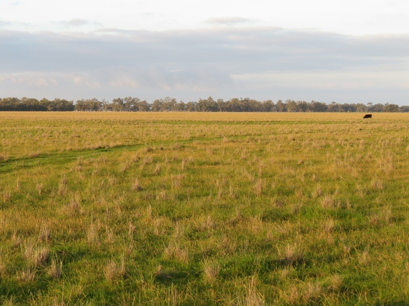 “Nocoleigh” Lower River Road, Deniliquin NSW 2710