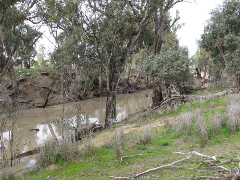 “Nocoleigh” Lower River Road, Deniliquin NSW 2710