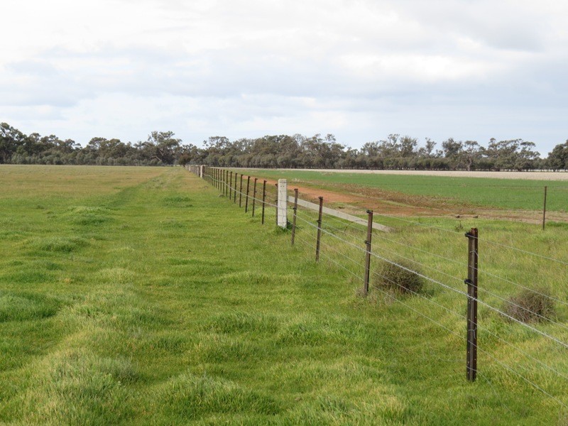 “Nocoleigh” Lower River Road, Deniliquin NSW 2710