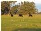 “Nocoleigh” Lower River Road, Deniliquin NSW 2710