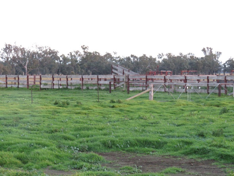 “Nocoleigh” Lower River Road, Deniliquin NSW 2710