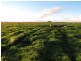 “Nocoleigh” Lower River Road, Deniliquin NSW 2710