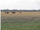 “Nocoleigh” Lower River Road, Deniliquin NSW 2710
