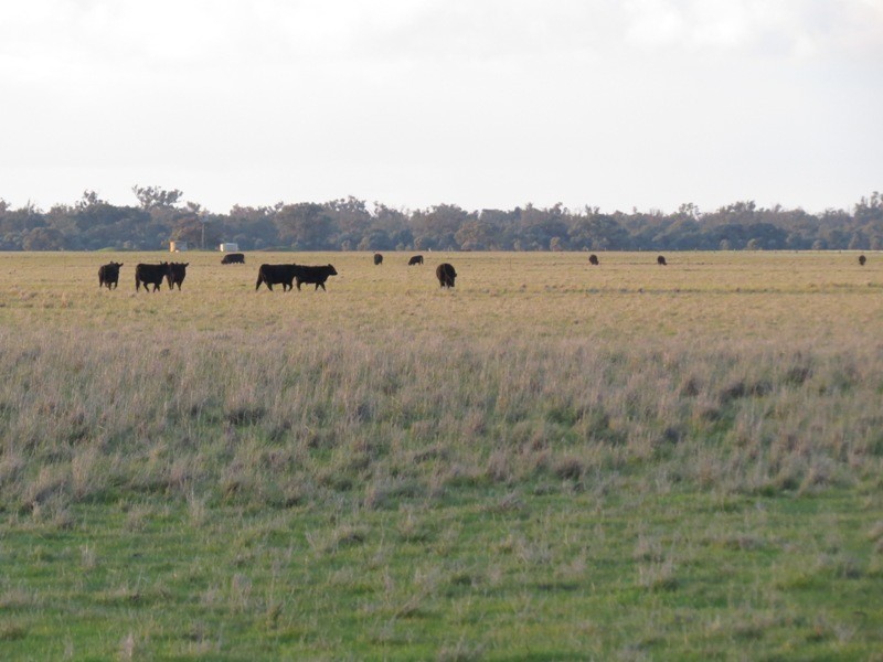 “Nocoleigh” Lower River Road, Deniliquin NSW 2710