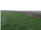 “Nocoleigh” Lower River Road, Deniliquin NSW 2710