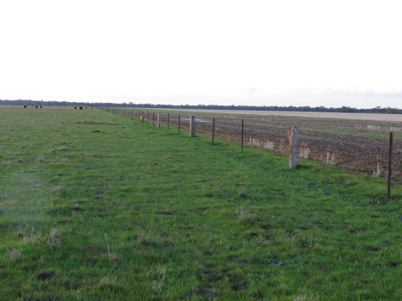 “Nocoleigh” Lower River Road, Deniliquin NSW 2710