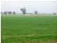 - Greendale -, West Wyalong NSW 2671