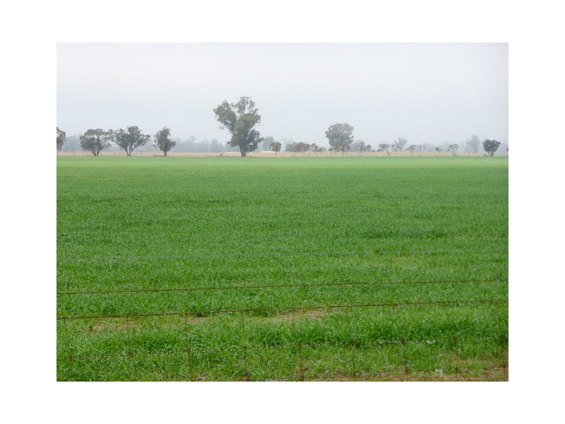 - Greendale -, West Wyalong NSW 2671